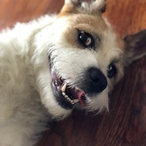 Meet your Posher, Autumn